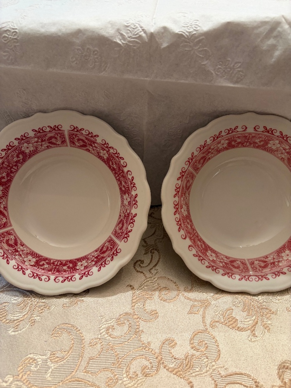 Vintage Set of 2 Cereal/Soup Bowls Strawberry Hill by Syracuse China